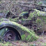 _45634251_vintagegrowing4