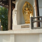 DSCF0065