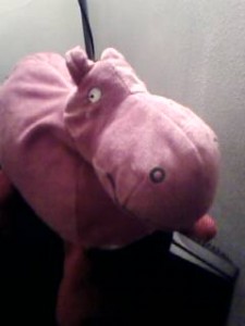 The Pink Hippo of inspiration The Pink Hippo of inspiration